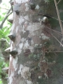2013-10_CubaActive_A_ (264)